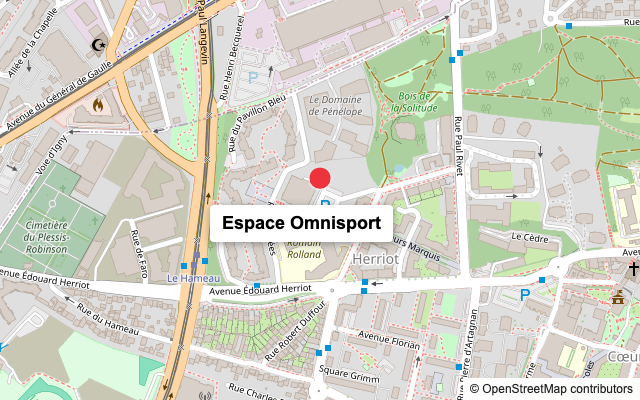 Carte du quartier avec l’Espace Omnisport repéré près de l’avenue Édouard-Herriot